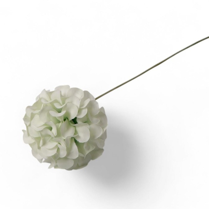 ORTENSIA PICCOLA CM4 VERDE SALVIA